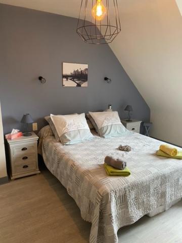 Chambres Du Vau-Nogues Pleudihen-sur-Rance Kültér fotó